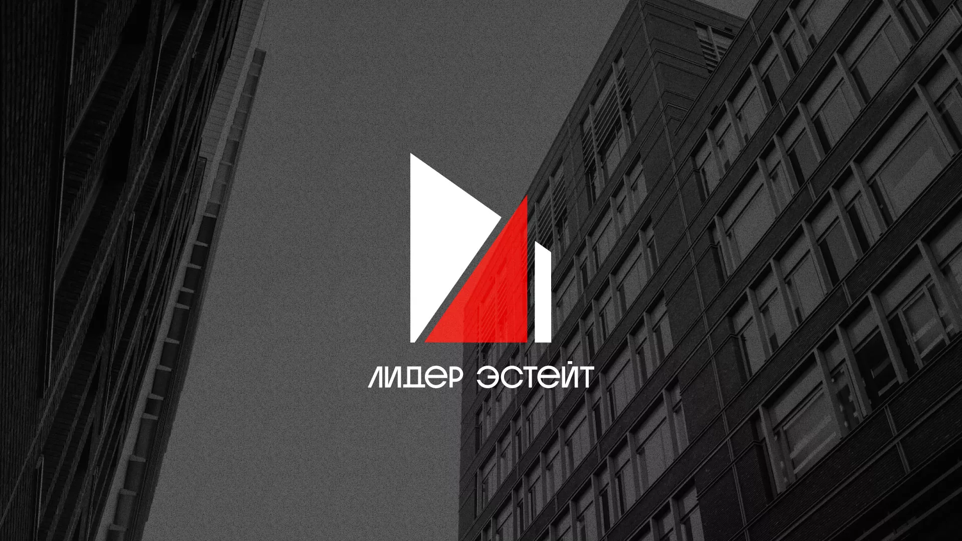 Сделали логотип для агентства недвижимости «Лидер Эстейт» в Кувшиново